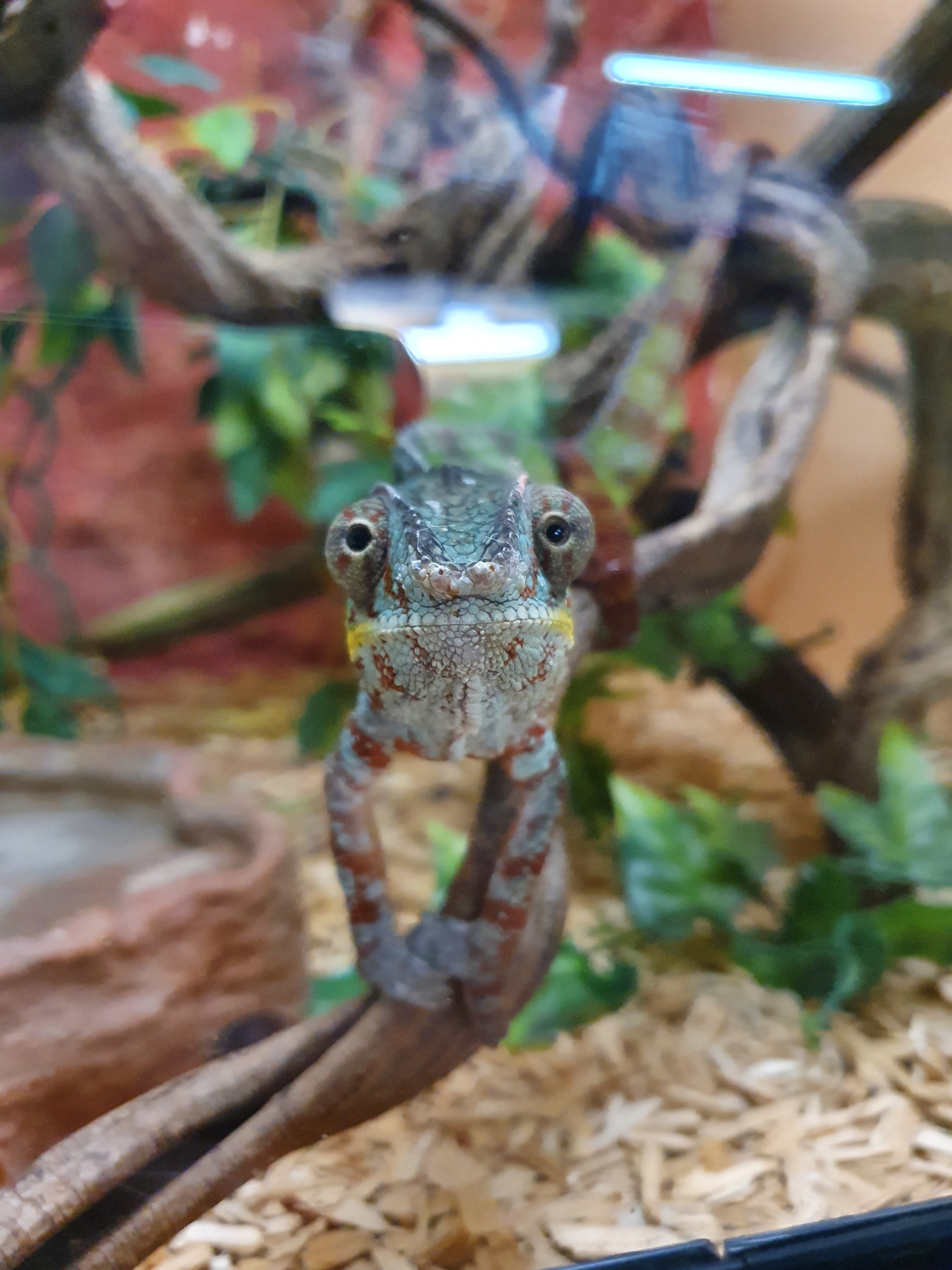 Photo n° 1 de l'avis de Laura.A fait le 01/01/2022 à 22:47