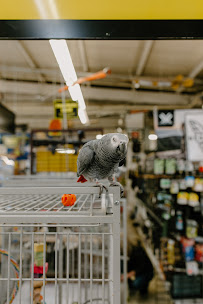 Black Bird - Photo 8 - Car repair in Medford, OR, Medford