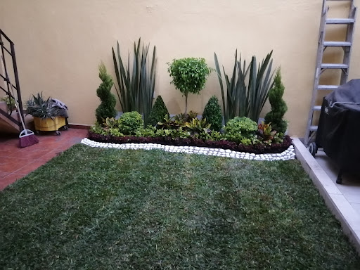 Vivero Gómez