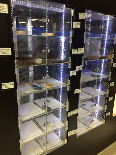 Pet Store «Inland Reef Pet Store», reviews and photos, 817 Cross Lanes Dr, Cross Lanes, WV 25313, USA