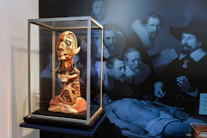 Medical History Museum in Helsingborg image