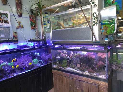 Pet Store «Off The Hook Exotics Pet Shop», reviews and photos, 926 5th Ave, Coraopolis, PA 15108, USA