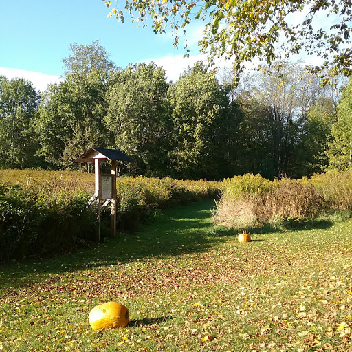 Nature Preserve «Beaver Meadow Audubon Center», reviews and photos, 1610 Welch Rd, Java Center, NY 14082, USA