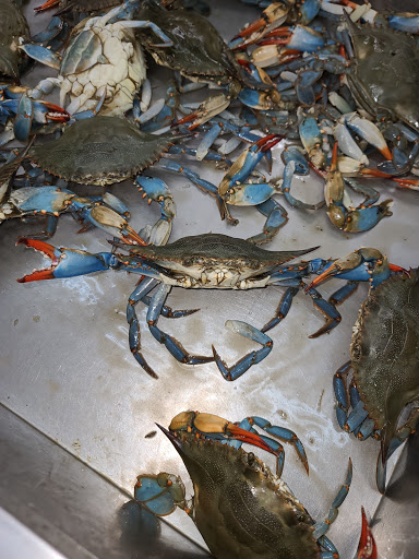 Korean Grocery Store «H Mart», reviews and photos, 1295 E Ogden Ave, Naperville, IL 60563, USA