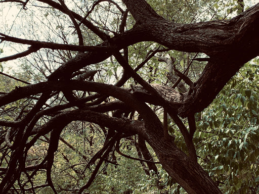 Wildlife Park «Wildlife & Parks Department», reviews and photos, 6232 East 29th St N, Wichita, KS 67220, USA