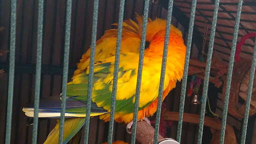 Pet Supply Store «PetKraze», reviews and photos, 100 Independent Way, Brewster, NY 10509, USA