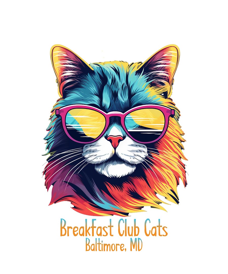 Breakfast Club Cats