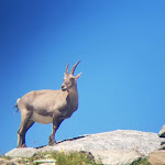 Photo n° 3 de l'avis de Maxim.u fait le 12/01/2020 à 17:14 pour Refuge d'Ambin à Val-Cenis