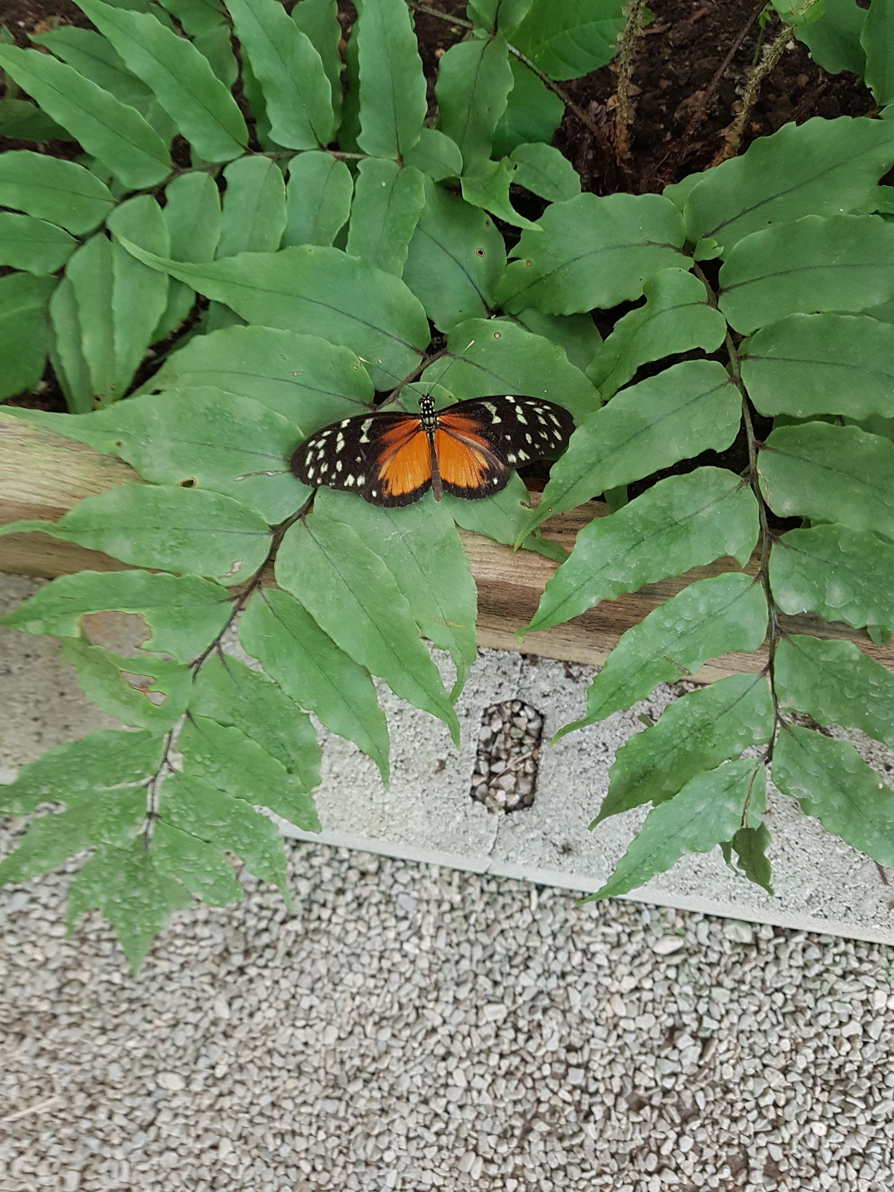 Photo n° 5 de l'avis de Michelle.o fait le 24/08/2018 à 20:01