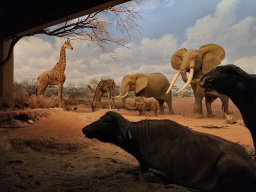 Museum «Heritage Museum of Orange County», reviews and photos, 3101 W Harvard St, Santa Ana, CA 92704, USA