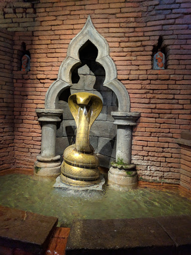 Tourist Attraction «Kali River Rapids», reviews and photos, Asia, Kissimmee, FL 34747, USA