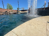 Poolscapes Of Texas - Photo 8 - Car repair in Pearland, TX, Pearland