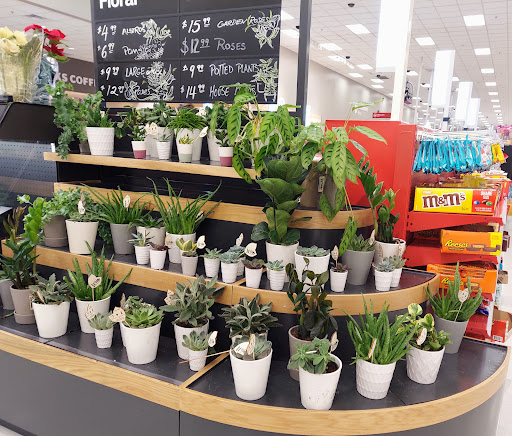 Department Store «Target», reviews and photos, 1400 E Lake Cook Rd, Wheeling, IL 60090, USA