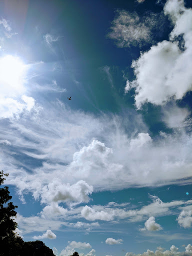 Family Law Attorney «Roy and Amico Law Group», reviews and photos