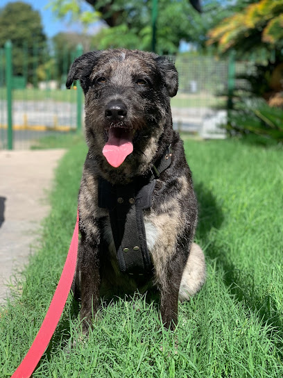 Peluqueria Canina Libertad