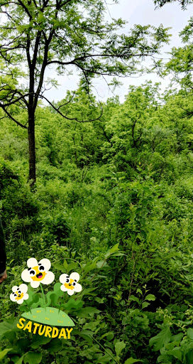 Nature Preserve «Penny Road Pond», reviews and photos, Penny Rd, Barrington, IL 60010, USA