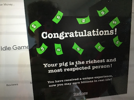 Brewery «Broomtail Craft Brewery», reviews and photos, 6404 Amsterdam Way, Wilmington, NC 28405, USA