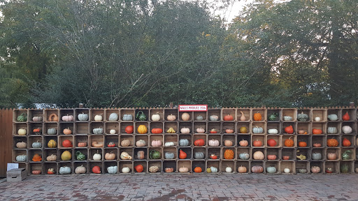 Garden Center «Nalls Produce», reviews and photos, 7310 Beulah St, Alexandria, VA 22315, USA