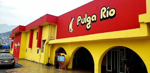 Pulga Río