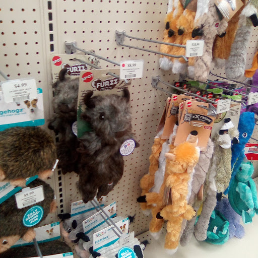 Pet Store «Pet Supermarket, Inc.», reviews and photos, 1938 FL-44 #40, New Smyrna Beach, FL 32168, USA