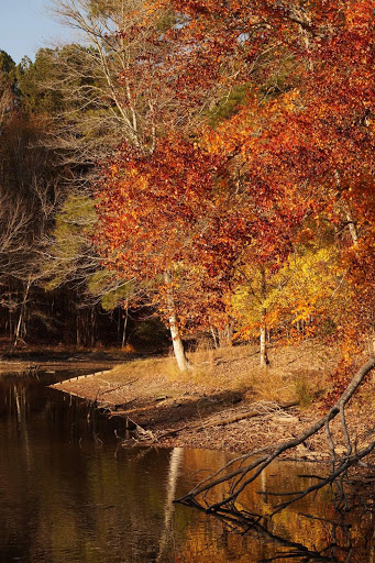 Wildlife Park «Charlie Elliott Wildlife Center», reviews and photos, 543 Elliott Trail, Mansfield, GA 30055, USA