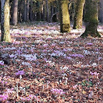Photo n° 5 de l'avis de Fa.a fait le 27/11/2021 à 13:48 pour Hôtel Restaurant Domaine de la Tortinière à Veigné