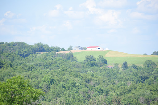 Hindu Temple «ISKCON New Vrindaban», reviews and photos