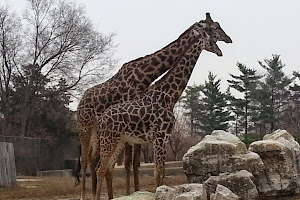 Louisville Zoo