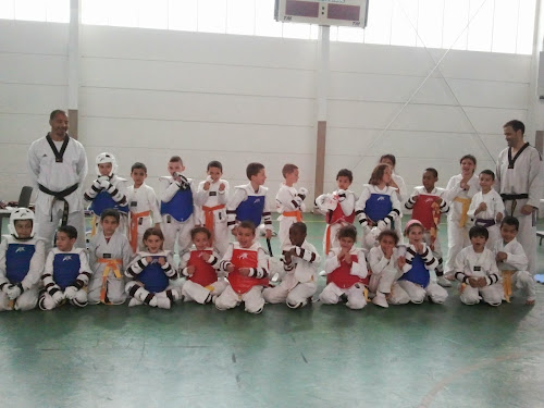 Taekwondo des Ulis à Les Ulis
