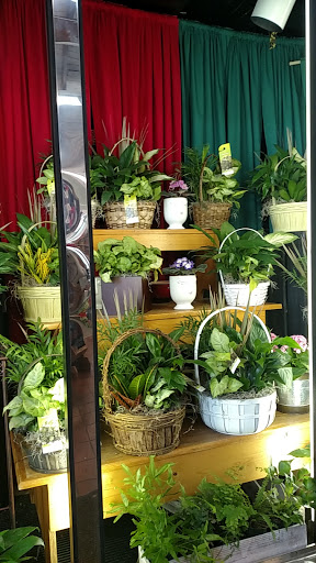 Zelek Flower Shop, Inc., 1001 Reid Ave, Lorain, OH 44052, USA, 