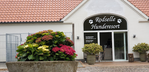 Rodselle Hunderesort I/S in Christiansfeld, Kolding