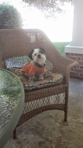 Pet Store «Liberty Agway Pet Center», reviews and photos, 11 Bon Jovi Ln, Liberty, NY 12754, USA