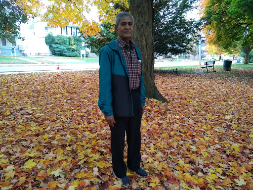 Park «Thrall Park», reviews and photos, 42-21 Grove St, Middletown, NY 10940, USA