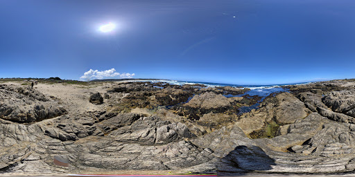Asilomar State Beach