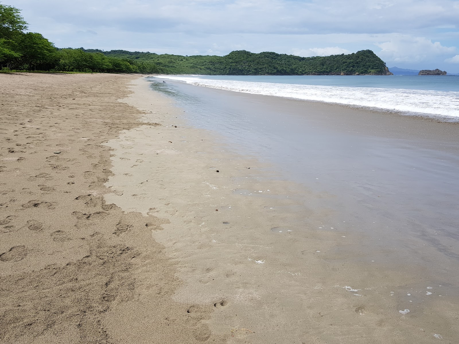 Foto de Playa La Flor zona salvaje