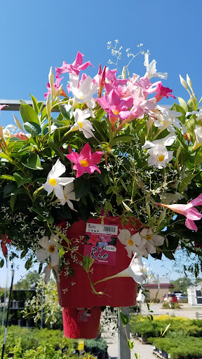 Home Improvement Store «The Home Depot», reviews and photos, 475 S Schmale Rd, Carol Stream, IL 60188, USA