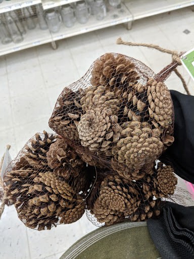 Craft Store «Michaels», reviews and photos, 1359 N McDowell Blvd, Petaluma, CA 94954, USA