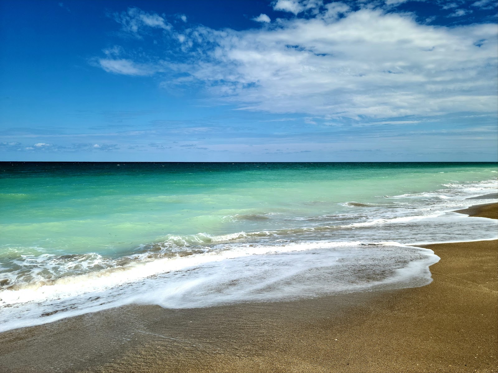 Zdjęcie Blue Heron beach z poziomem czystości wysoki