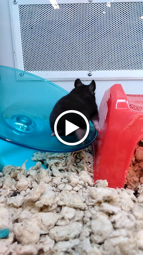 Pet Supply Store «Petco Animal Supplies», reviews and photos, 280 Kensington Blvd, Slidell, LA 70458, USA