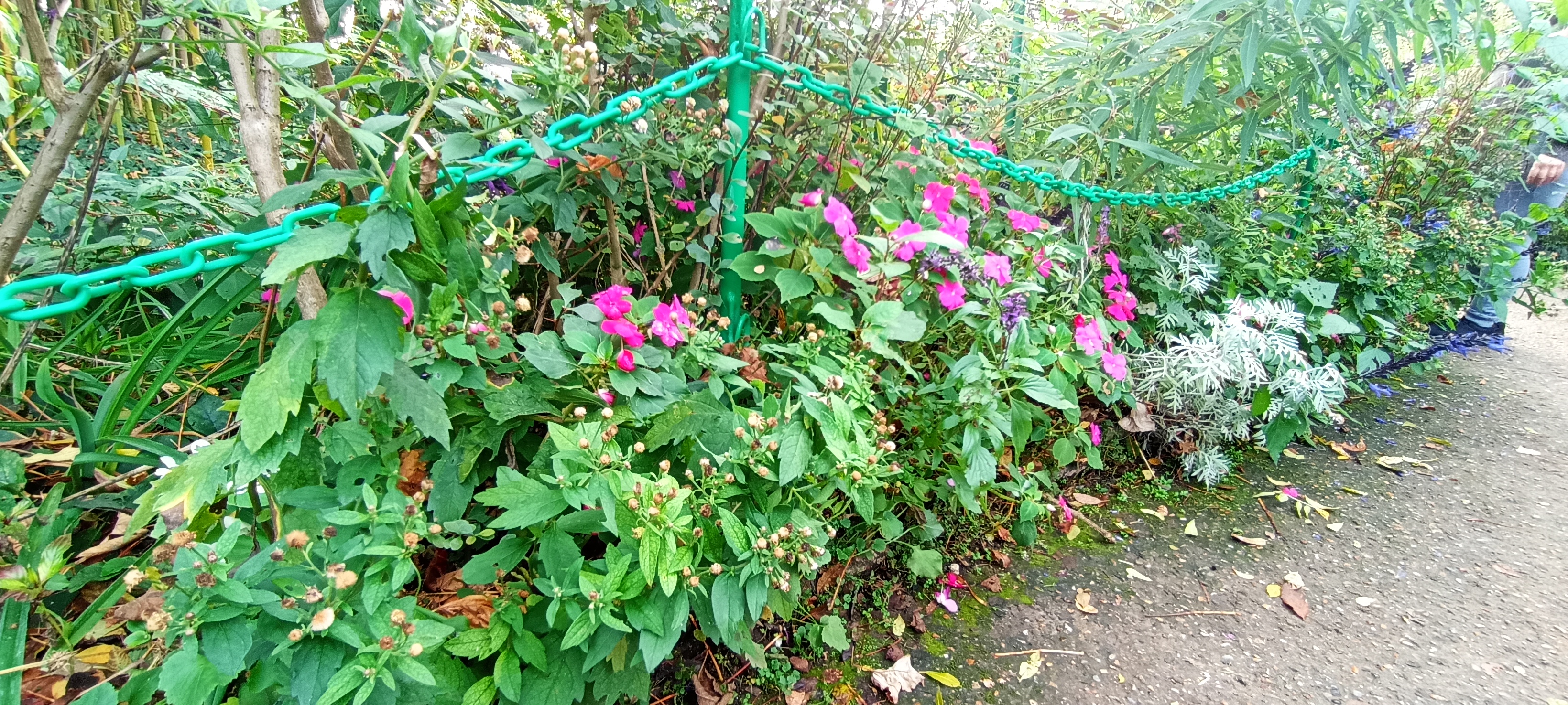 Photo n° 10 de l'avis de Verginia.H fait le 01/11/2022 à 18:08