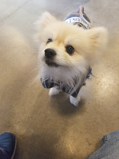 Pet Supply Store «The Naked Dog (Protein For Pets)», reviews and photos, 7385 Milliken Ave #120, Rancho Cucamonga, CA 91730, USA