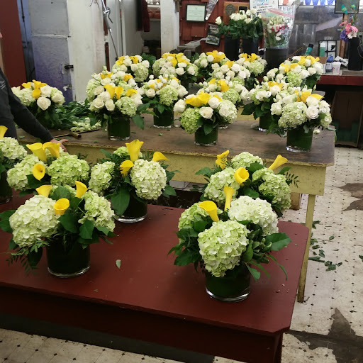 Florist «Exotic Flowers», reviews and photos, 609 American Legion Hwy, Boston, MA 02131, USA