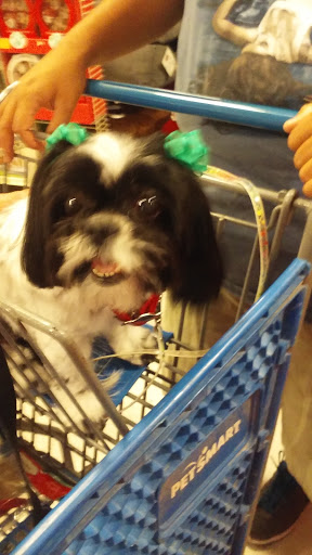 Pet Supply Store «PetSmart», reviews and photos, 1275 N Military Hwy, Norfolk, VA 23502, USA