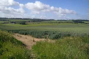 North Wessex Downs National Landscape image