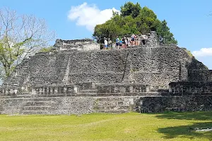 Five Jungle Mayan Tours image