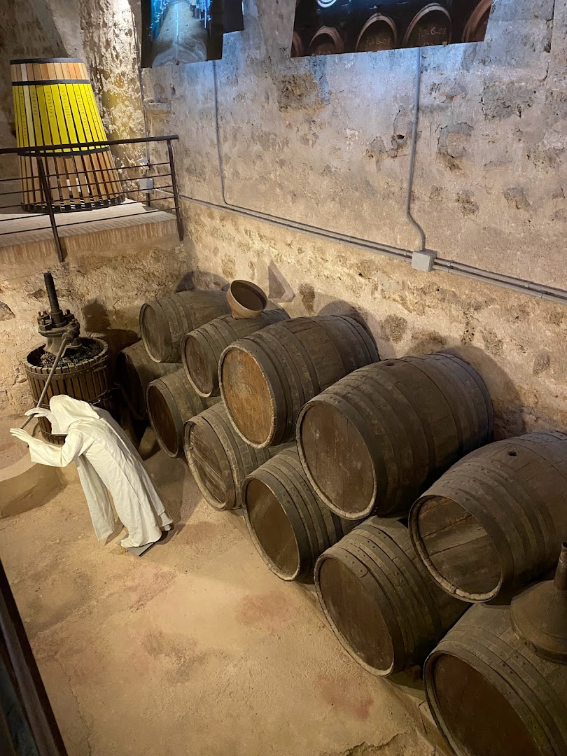 Museo del Vino