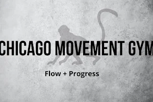 Chicago Movement Gym image