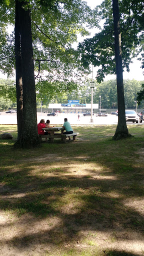 Live Music Venue «DTE Energy Music Theatre», reviews and photos, 7774 Sashabaw Rd, Village of Clarkston, MI 48348, USA