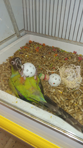 Pet Supply Store «Pet Supplies Plus», reviews and photos, 30450 Lakeshore Blvd, Willowick, OH 44095, USA