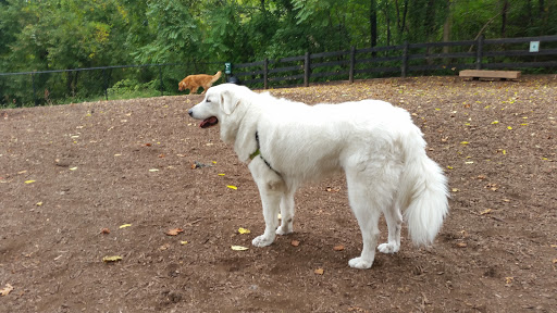 Pet Supply Store «PetSmart», reviews and photos, 9970 Sowder Village Square, Manassas, VA 20109, USA